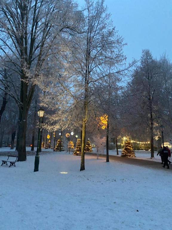 Le charme d'Alsace – Foto 23