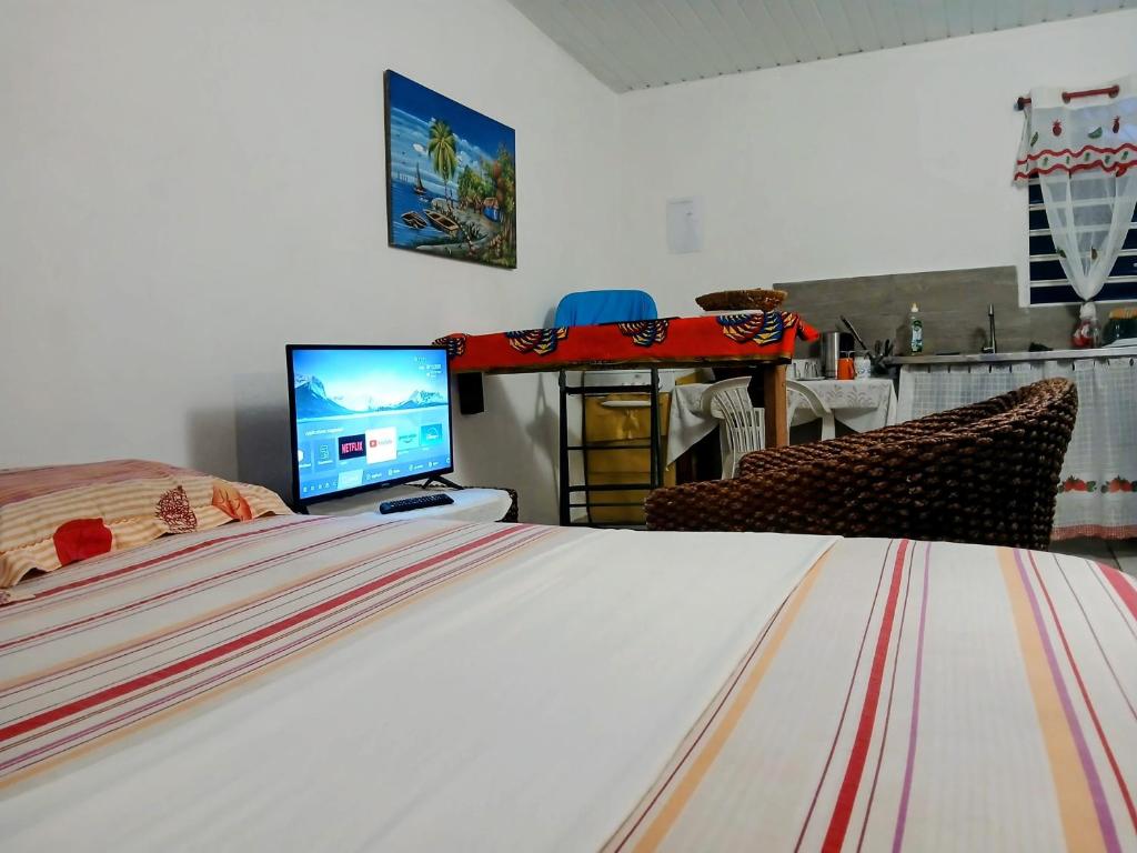 1 dormitorio con 1 cama, TV y 1 cama gmaxwell gmaxwell gmaxwell en Le Milano, en Kourou