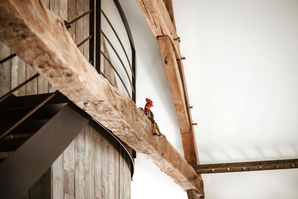 a red bird sitting on the side of a building at Gîte du jardinier in Ittre