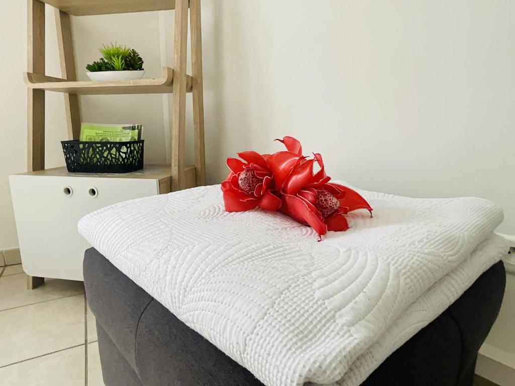 Prestige Lodging City Center - photo 11 - Tahiti, Polynésie