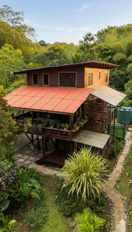 Curated visual reference: Picture Idea: Utopia Bluff Beach Off Grid Jungle Retreat By The Sea