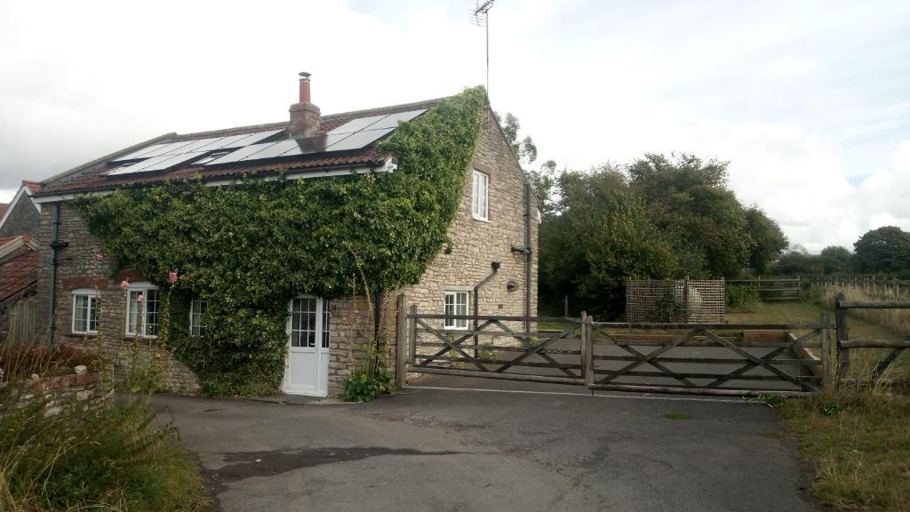 an old brick house with ivy growing on it at Yew Tree Cottage in Bristol