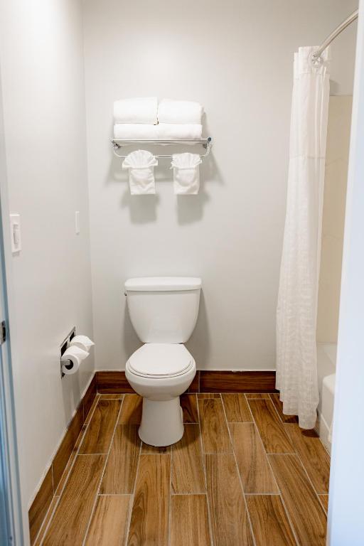 Quality Inn & Suites Lathrop - Suite Lit King-Size Avec Canapé-Lit - Non-Fumeurs