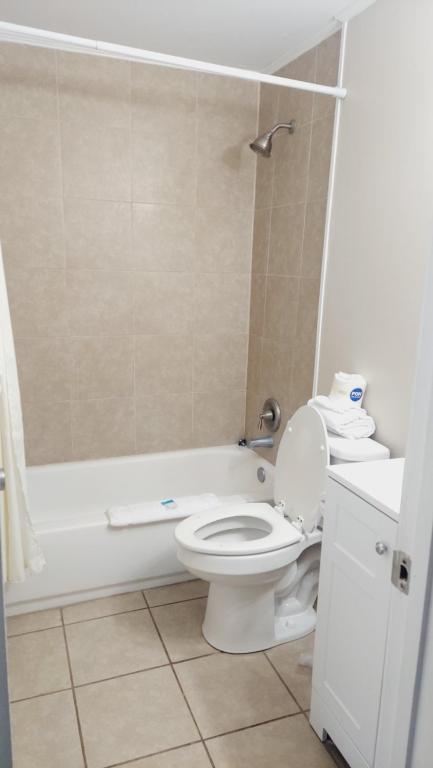 Dolphin Lane Motel - Double Room