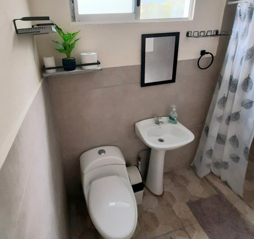 Koupelna v ubytování The garden oasis close to SJO airport