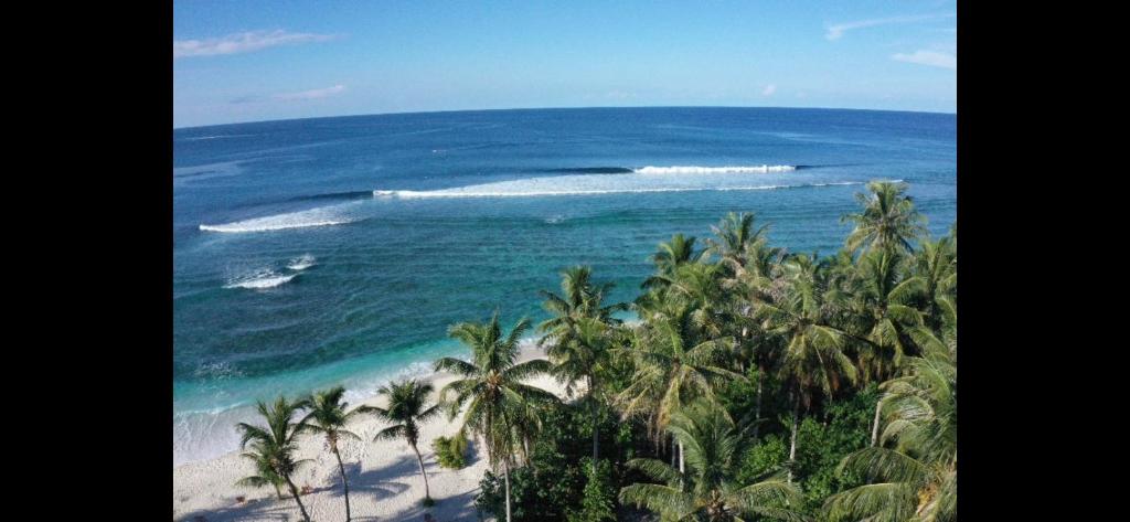 Příroda nedaleko penzionu