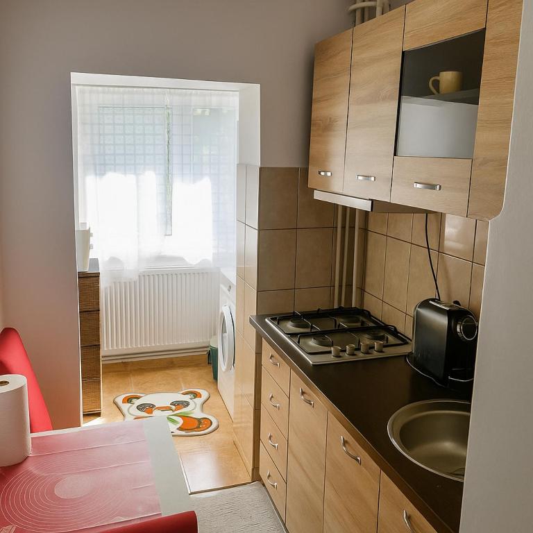 a small kitchen with a stove and a sink at Salcia Riverside Apartment in Galaţi