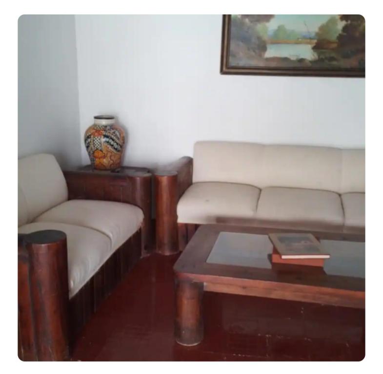 塔斯科·德·阿拉尔孔Departamento en Taxco 2 Habitaciones Estacionamiento Gratis的有两张沙发和一张咖啡桌的客厅