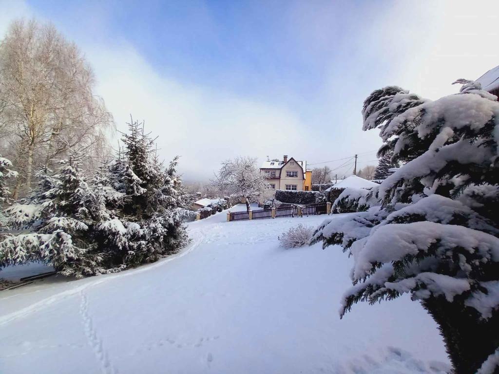 Apartment in Smrzovka 51888 v zimě