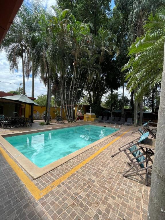 a swimming pool with chairs and palm trees at La Locanda in Puerto Iguazú