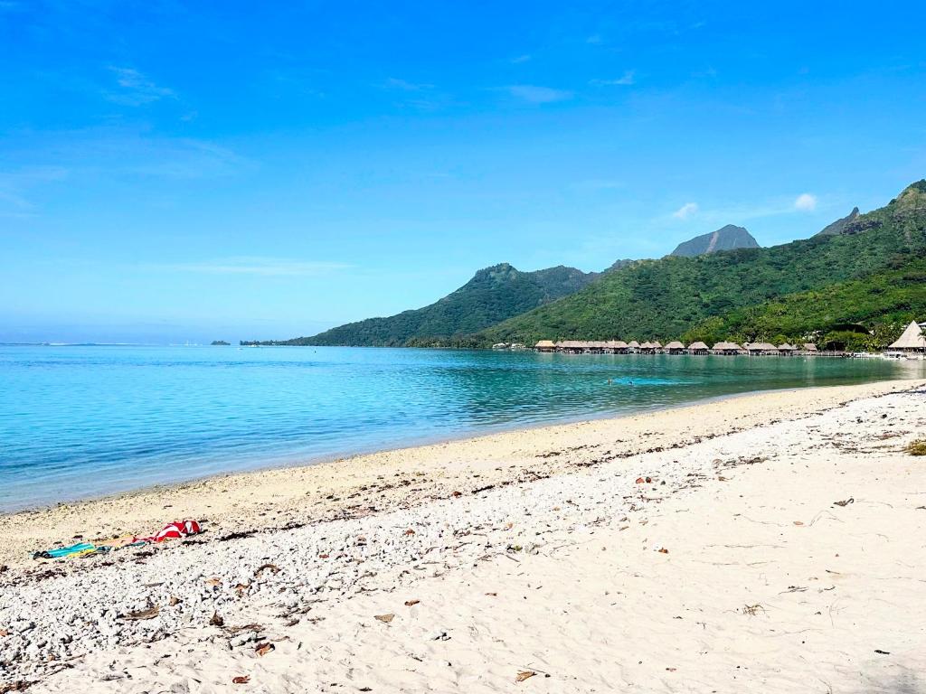 Manahiti properties - photo 6 - Moorea, Polynésie