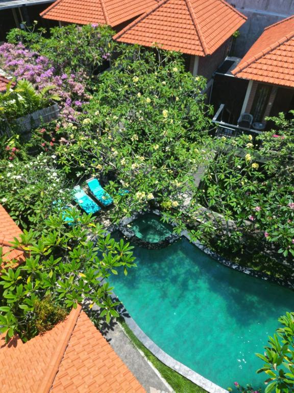 an overhead view of a pool with plants and umbrellas at Satria Bungalow in Uluwatu