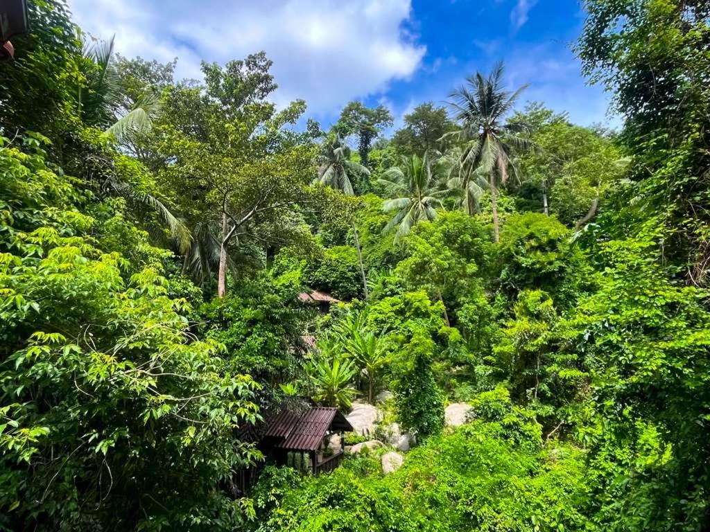 een jungle met een huis in het midden bij Singing Frogs Jungle Stay in Ban Lamai