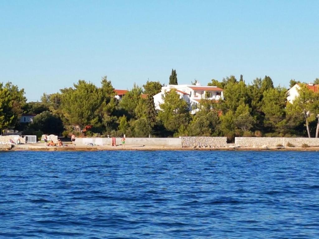 a house on the shore of a body of water at Apartments M in Pirovac