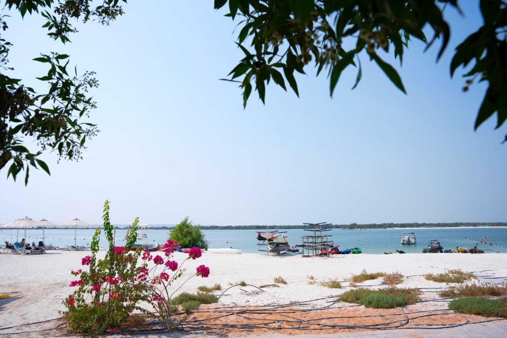 a beach with flowers and the ocean in the background at Yas Island Mayan 2 Junior 1 Bed Apartment by Central Stay in Abu Dhabi
