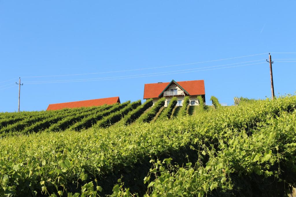 Budova, v ktorej sa dovolenkový dom nachádza
