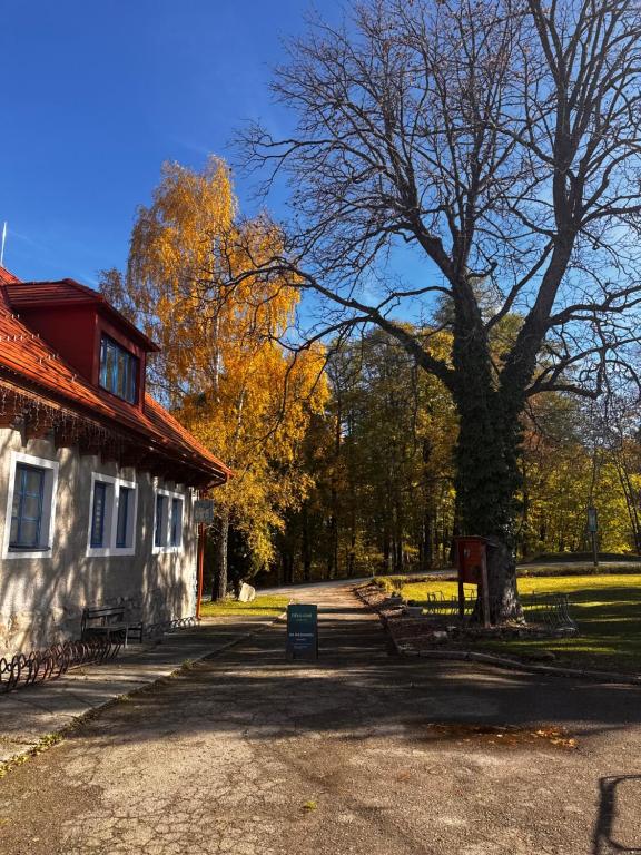 a house with a tree next to a building at Penzion Landštejnský dvůr in Slavonice