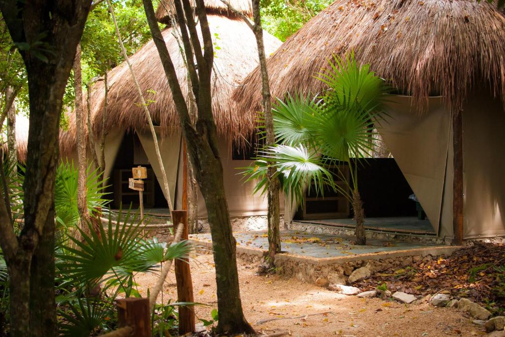 Cenote Yal-Kú: Hoteles en contacto con lo natural