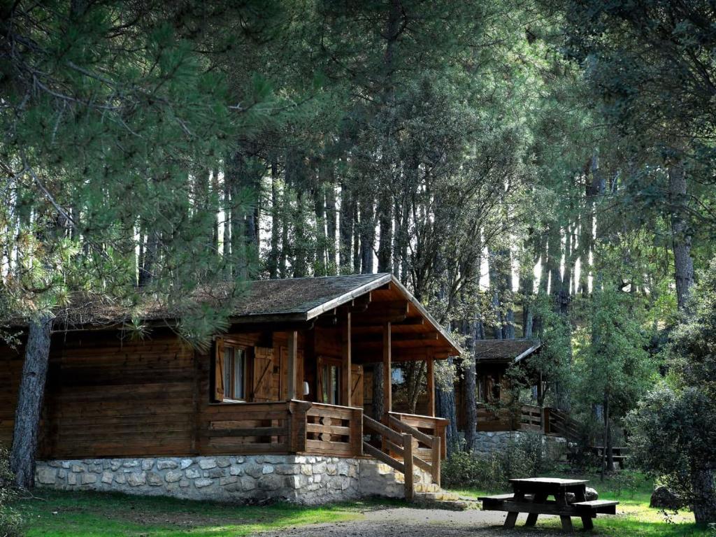 a log cabin with a picnic table in front of it at Cabañas Llano de los Conejos in Cañamares