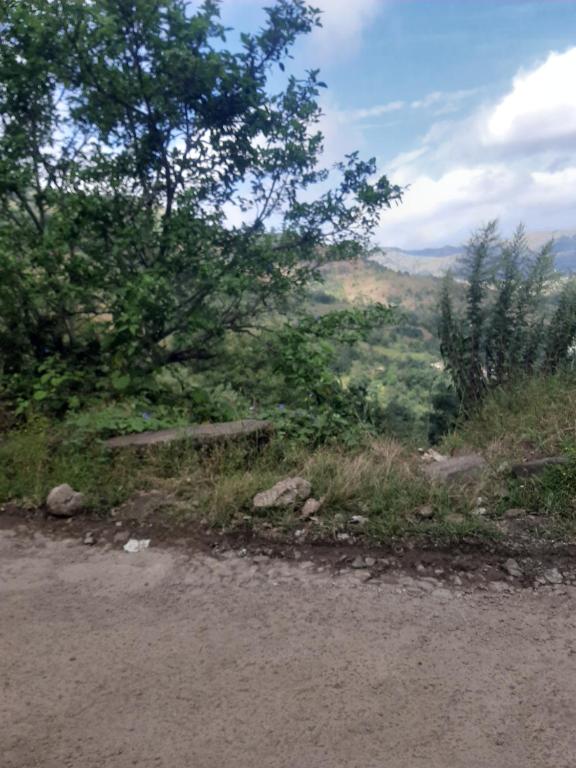 a dirt road with a tree on the side of a hill at Star Residency in Lonavala