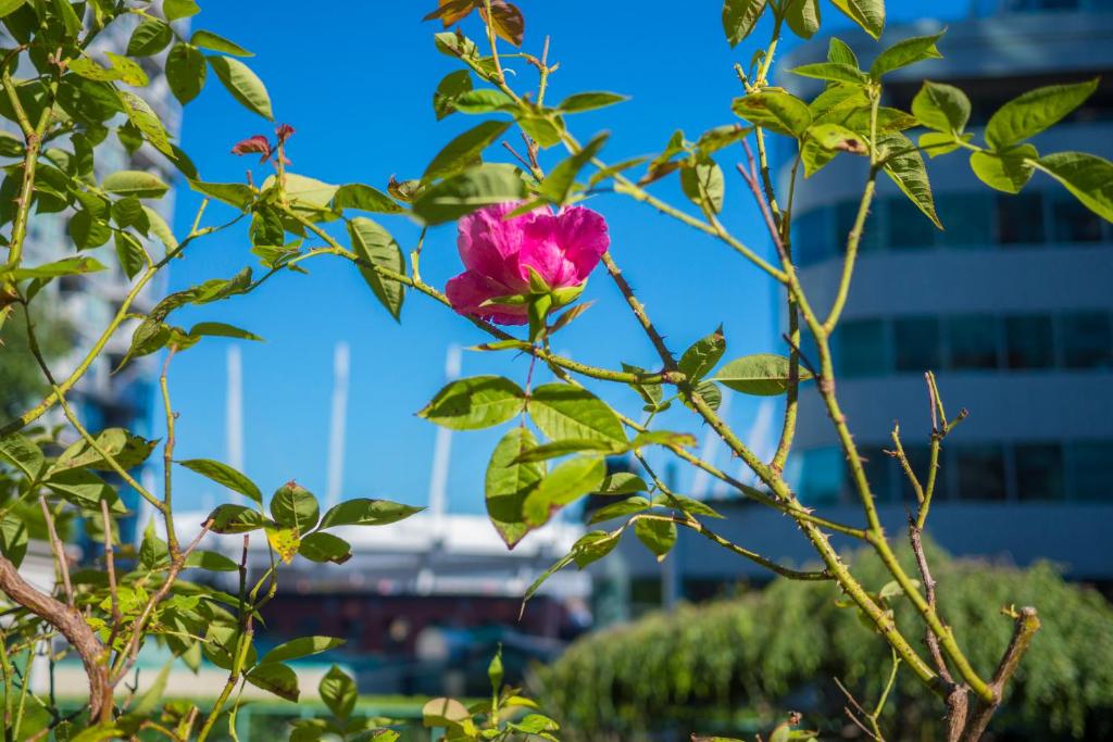 Rosedale on Robson Suite Hotel - Resim 41