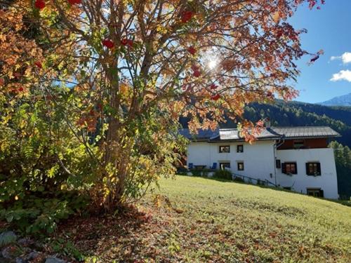 a house on a hill with a tree in front of it at Fuldera Daint chasa Zanoli Whg im zweiten Stock in Fuldera