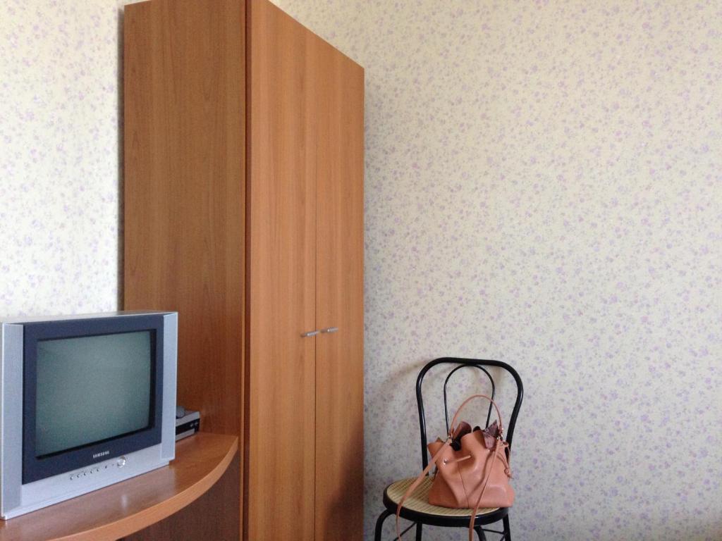 TV a/nebo společenská místnost v ubytování U Fedora