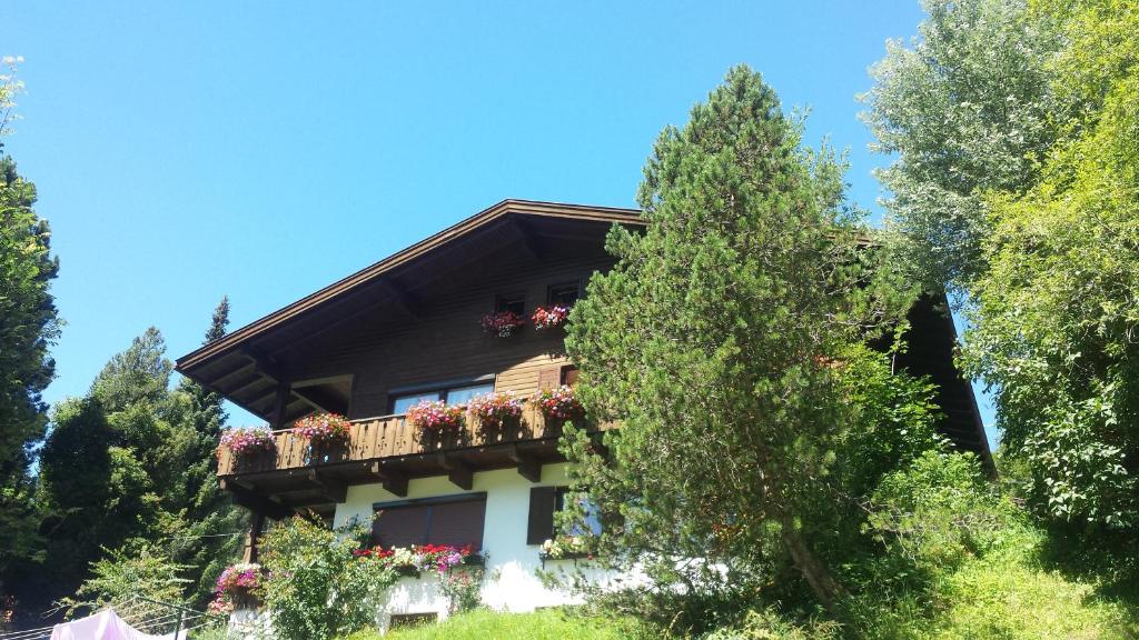 Zahrada ubytování Casa Monteggia