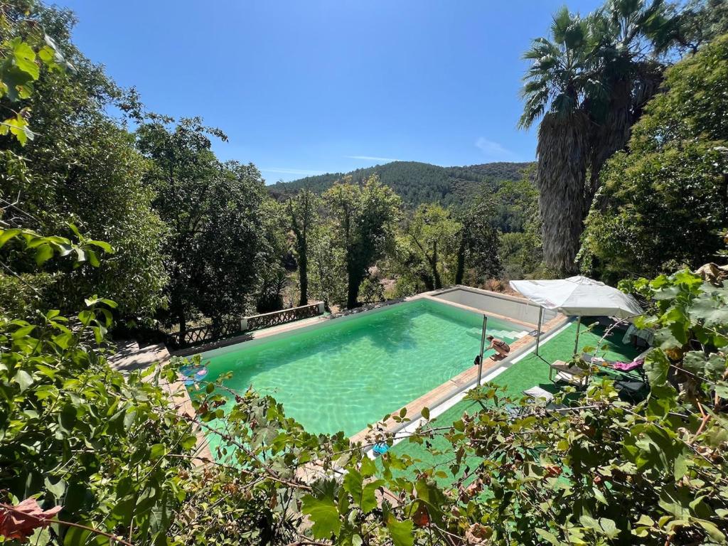 a swimming pool in the middle of a forest at La casita del oso in Linares de la Sierra