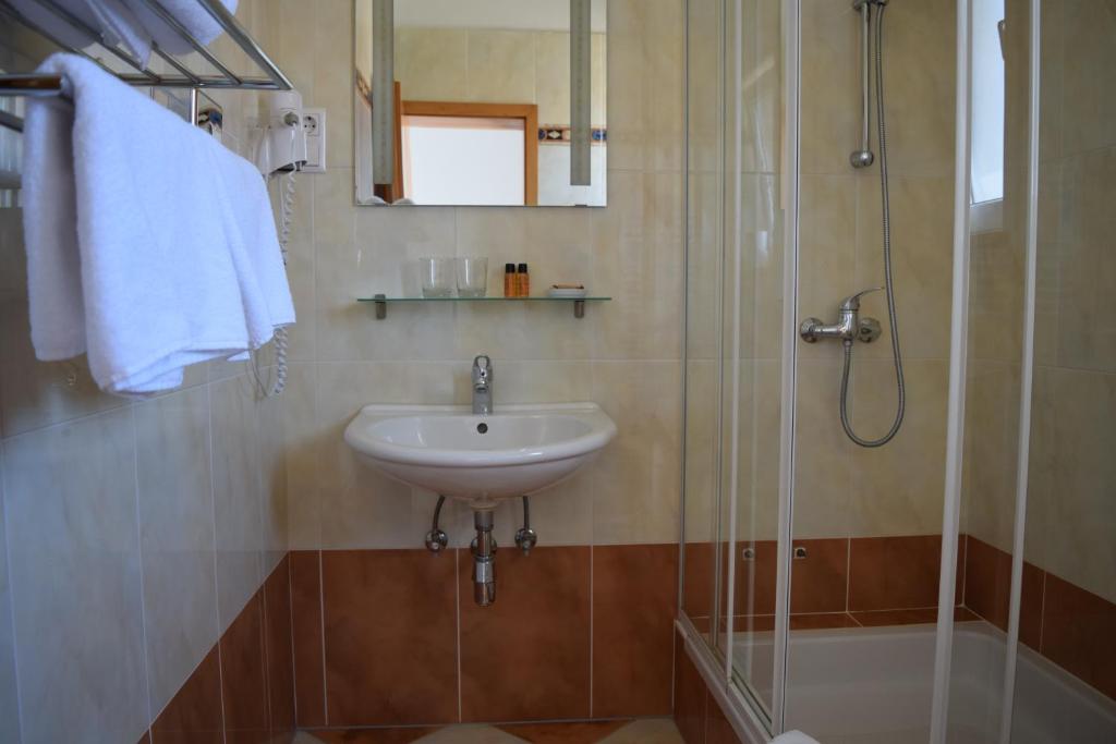 Koupelna v ubytování House Novalia