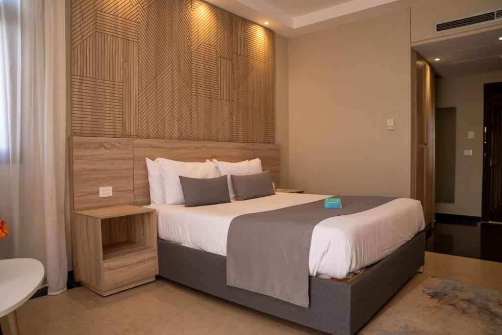 Pyramisa Island Hotel Aswan - 17