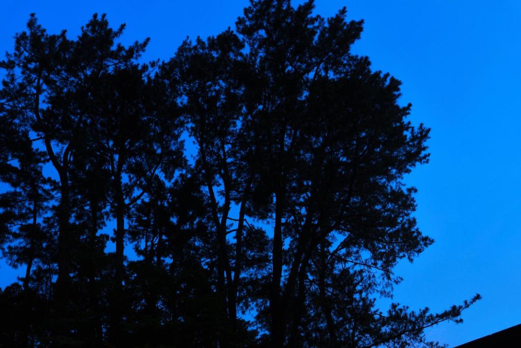 Fotografie z fotogalerie ubytování AMANE resort GAHAMA v destinaci Beppu