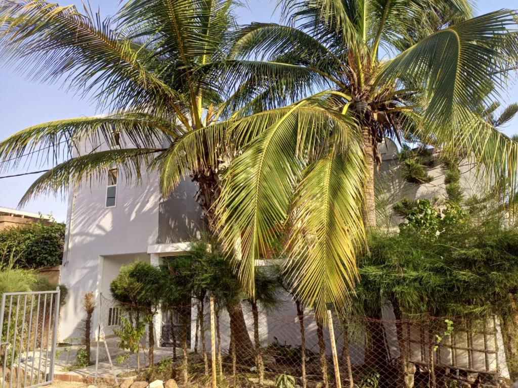 two palm trees in front of a white house at Rabbi Chambres in Mbour