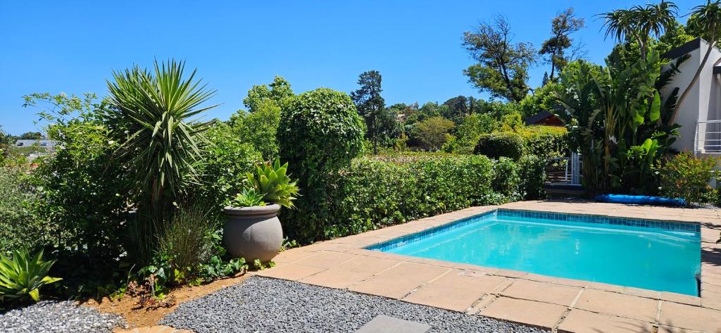 una piscina en un jardín con plantas en Fair View, en Somerset West