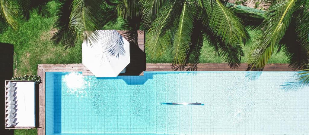 een zwembad met een palmboom op de achtergrond bij Pe na Areia Boutique Hotel in Japaratinga