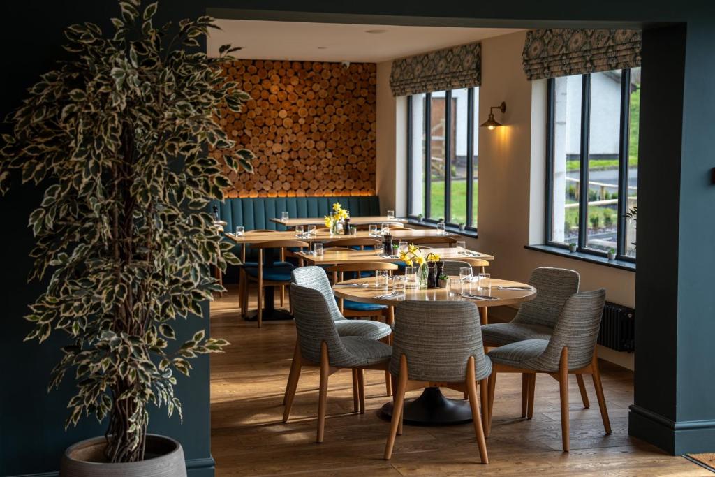 een restaurant met tafels en stoelen en een potplant bij Penrhos Park in Aberystwyth
