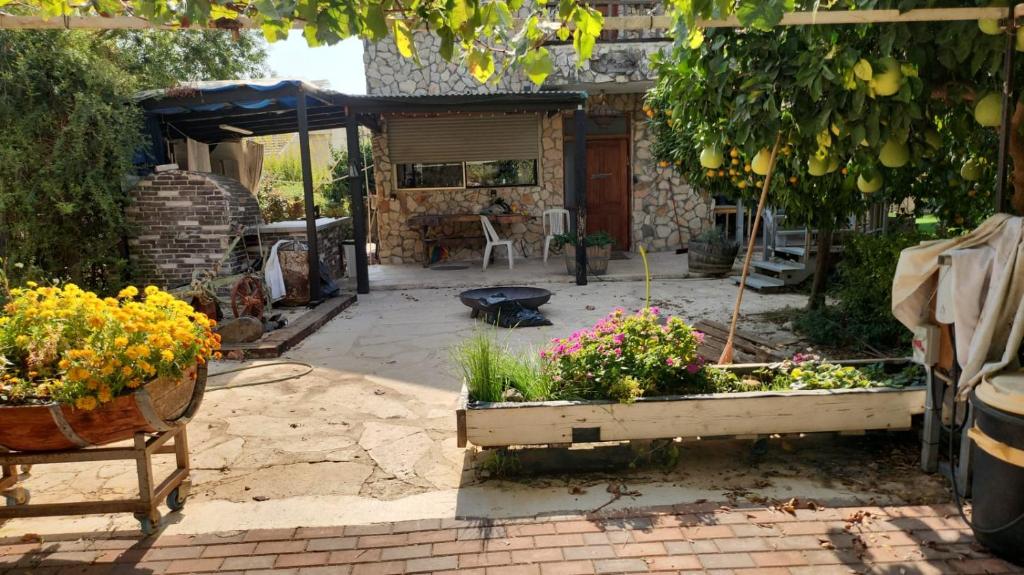 Κήπος έξω από το The stone house by the river וילה ליד הנחל