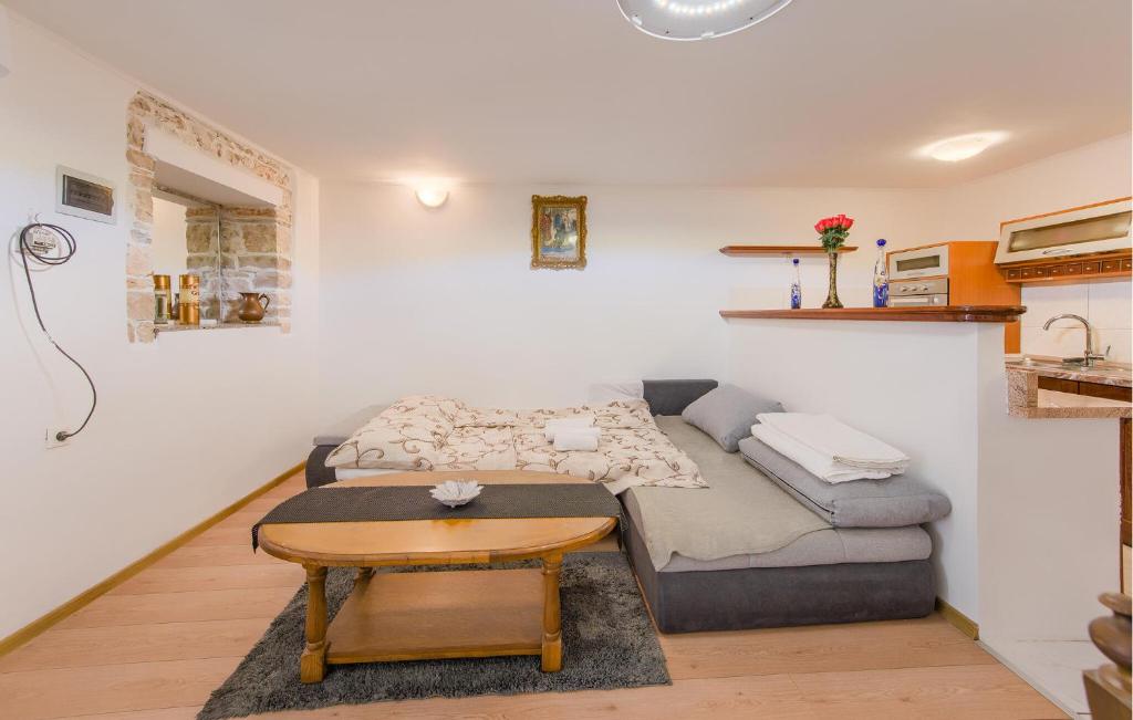 Η κουζίνα ή μικρή κουζίνα στο Awesome Apartment In Vodnjan With Wifi