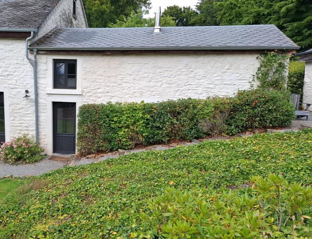 een wit huis met een groene heg bij La Chambre de la Gotale in Manhay