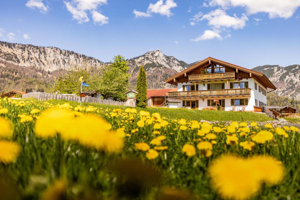 een huis op een heuvel met een veld van gele bloemen bij Ferienwohnung Roislerlehen in Bischofswiesen