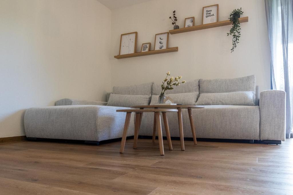 a living room with a couch and a table at Heimbi-Home No 3, 4-6 Pers, EuropaPark, E-Ladesäule in Kappel-Grafenhausen