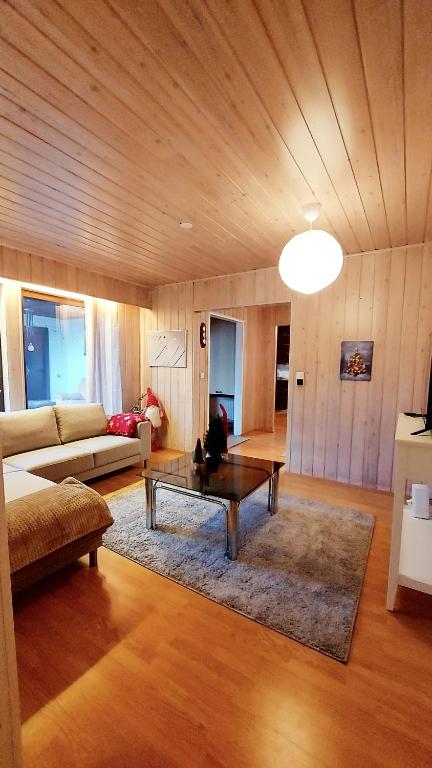 a living room with a cat sitting on a coffee table at Villa Lucky in Rovaniemi
