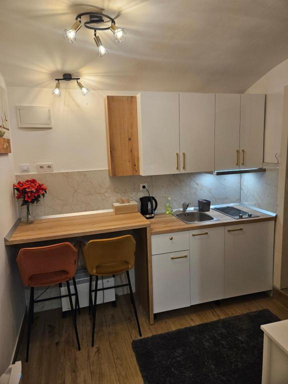 Apartment Maja - Strict center of Zagreb - 10