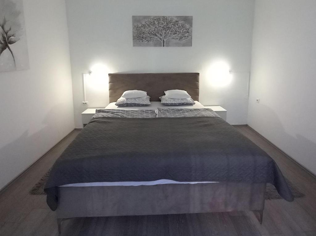 a bedroom with a large bed with two pillows at Apartment Centar in Slavonski Brod
