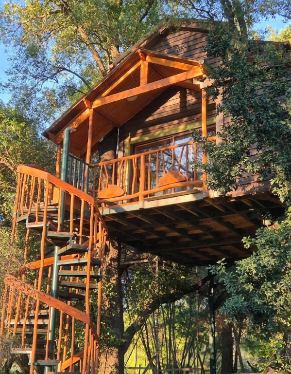 a tree house with a staircase in a tree at Casa de árbol Quillón in Quillón