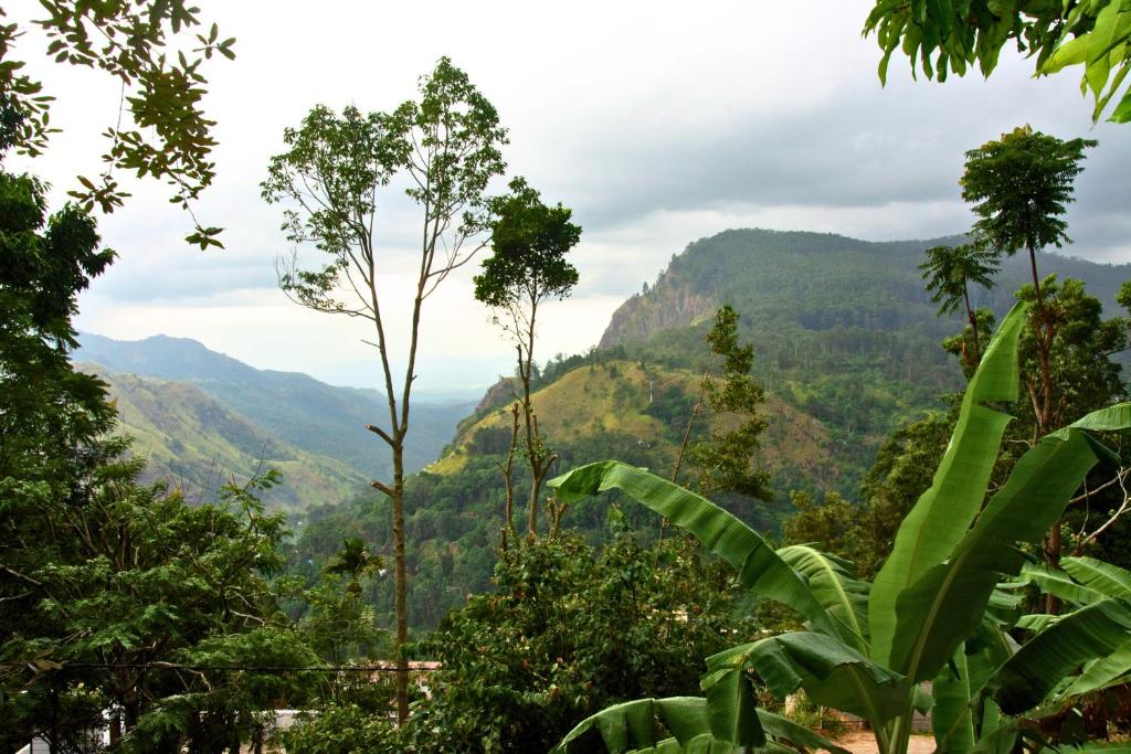 Příroda nedaleko hotelu
