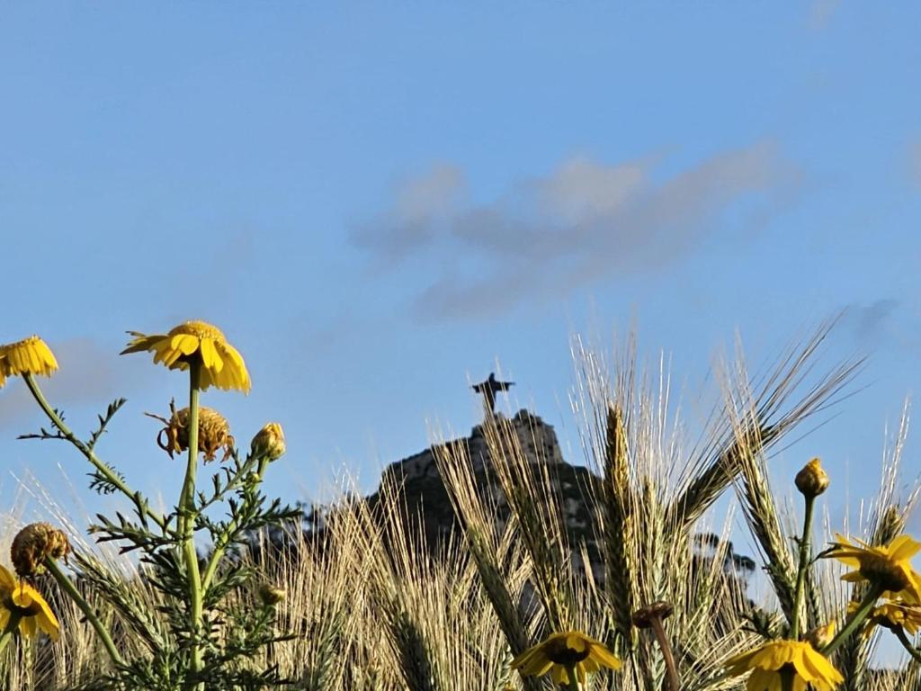 Příroda nedaleko bed and breakfast