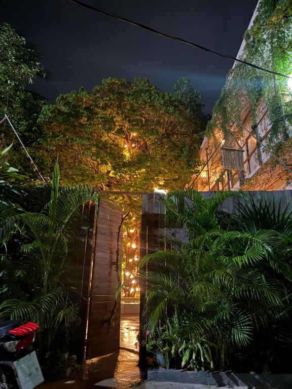 a garden lit up at night with lights at Chii Lú Casa de la Luna in Brisas de Zicatela