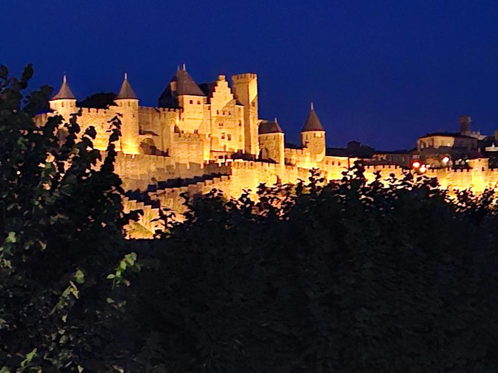 Le Mas Victoria - Chambres d'hôtes avec table d'hôtes-Parking privé ferme - 14