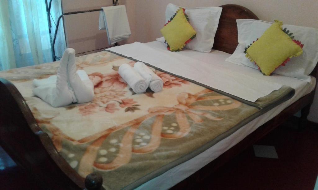 Cool Mount Guest - Budget Double Room